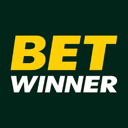Explore BetWinner Your Guide to Betting Success